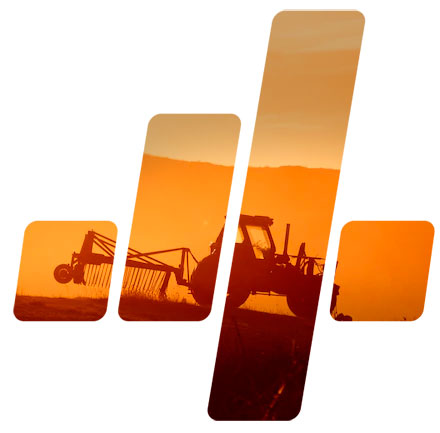 4 Gestores: Gestão de Riscos