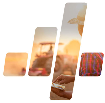 4 Gestores: Gestão de Riscos