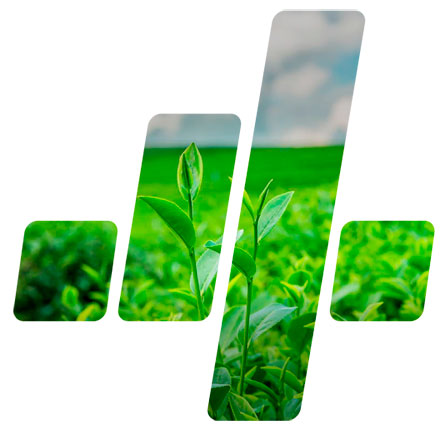 4 Gestores: Gestão de Riscos