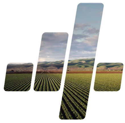 4 Gestores: Gestão de Riscos