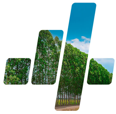 4 Gestores: Gestão de Riscos