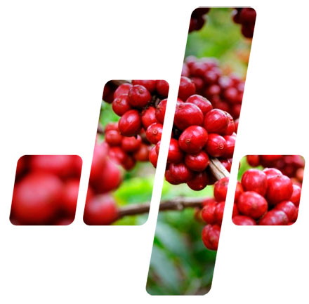 4 Gestores: Gestão de Riscos